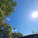 남산공원 일주로 이미지