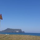 제주미라클호텔 이미지