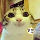 이모네포장마차 네이버블로그