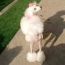 화성카센터 이미지