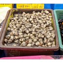 우리수산 이미지