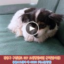 구천면로 이미지