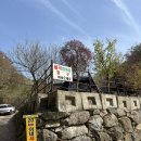 율곡 | 파주 캠핑장 추천 율곡캠핑장 후기