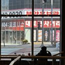 율하냥 | 장유 고양이카페 아이와 가볼만한 곳 율하냥