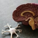치매 예방, 이제 토스뱅크로? 시니어 저격 '하루 1분 뇌 운동' 써보니 (후기, 혜택 총정리 2025년 최신)