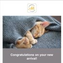 런던동물병원 이미지