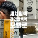 천연 염색제, 새치 물염색, 모벨로, 내돈내산 후기