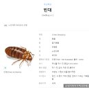 버그프로