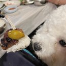 오픈하우스가든 이미지