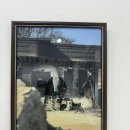 태양여관 | [전시 후기] <소생: 우리는 숨을 이어갑니다> 산불재해 지역의 자연과 동물/사람들, 안타까운 과수원...