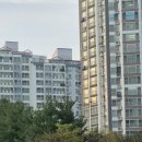 들녘식당 이미지