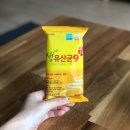 8월 두 번째 일상