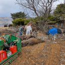 단양군 농업기술센터 이미지