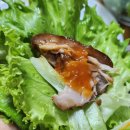 &#39;부산갈매기족발&#39; 하단 족발 솔직 후기! 당리역 맛집 추천