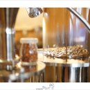 카페 콩가 이미지