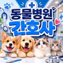 청하산업동물병원 | 동물병원 간호사 되려면 자격증이 꼭 필요할까?