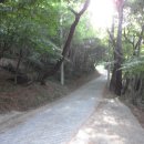 개심사입구 주차장 이미지