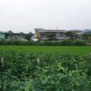 영미네민박 이미지