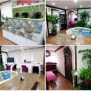 중국어(야간) 이미지