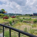 개삼터청기와카페 이미지