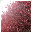 탐라대학교 이미지