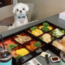 엘림메디칼 | 한화리조트평창 멍패커룸 오픈 평창애견동반 여행을 계획하신다면 여기