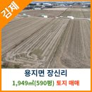 용지면사무소 이미지