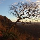 빈 팩토리 이미지