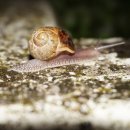 이룸수학 이미지