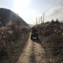 사랑해체험마을 이미지