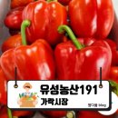 유성농산 - 논산시 해월로 63-5 | 유성농산
