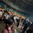 그대가세탁소 | 2025 그랜드민트페스티벌 DAY2 | 한 밴드를 위한 혼페벌 스탠딩 후기