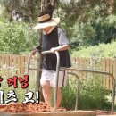 셀럽하우스 이미지