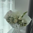 라임클래식