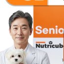 하나뉴트리케어