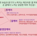 성연화장품