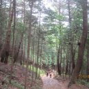 사천송림 이미지