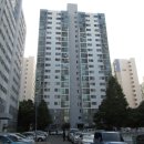 포항시북구77 네이버블로그