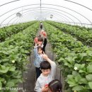 보미농장 이미지