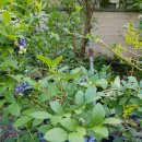 원 농장 이미지