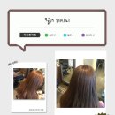 최은경헤어플렉스 | 천연염색 소키와칸 블루 컬러 컬러차트 모음