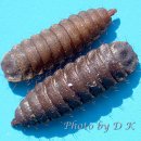 용화축산 이미지