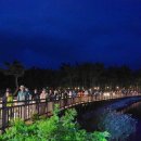 달빛 고래 트레킹 이미지