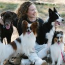 반려동물관리사 자격증 과정 이미지