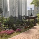 시립배곧중흥S클래스어린이집 이미지