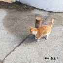 만민농장 이미지