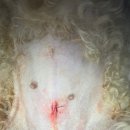 도촌동물병원 이미지