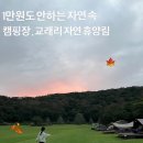 석전동 주민운동장 풋살장 | 캠핑가기 딱 좋은 가을날씨에 ,제주 곶자왈 탐방 /교래리 자연휴양림 캠핑후기