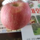 새힘농장 이미지