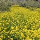 유구농장 이미지